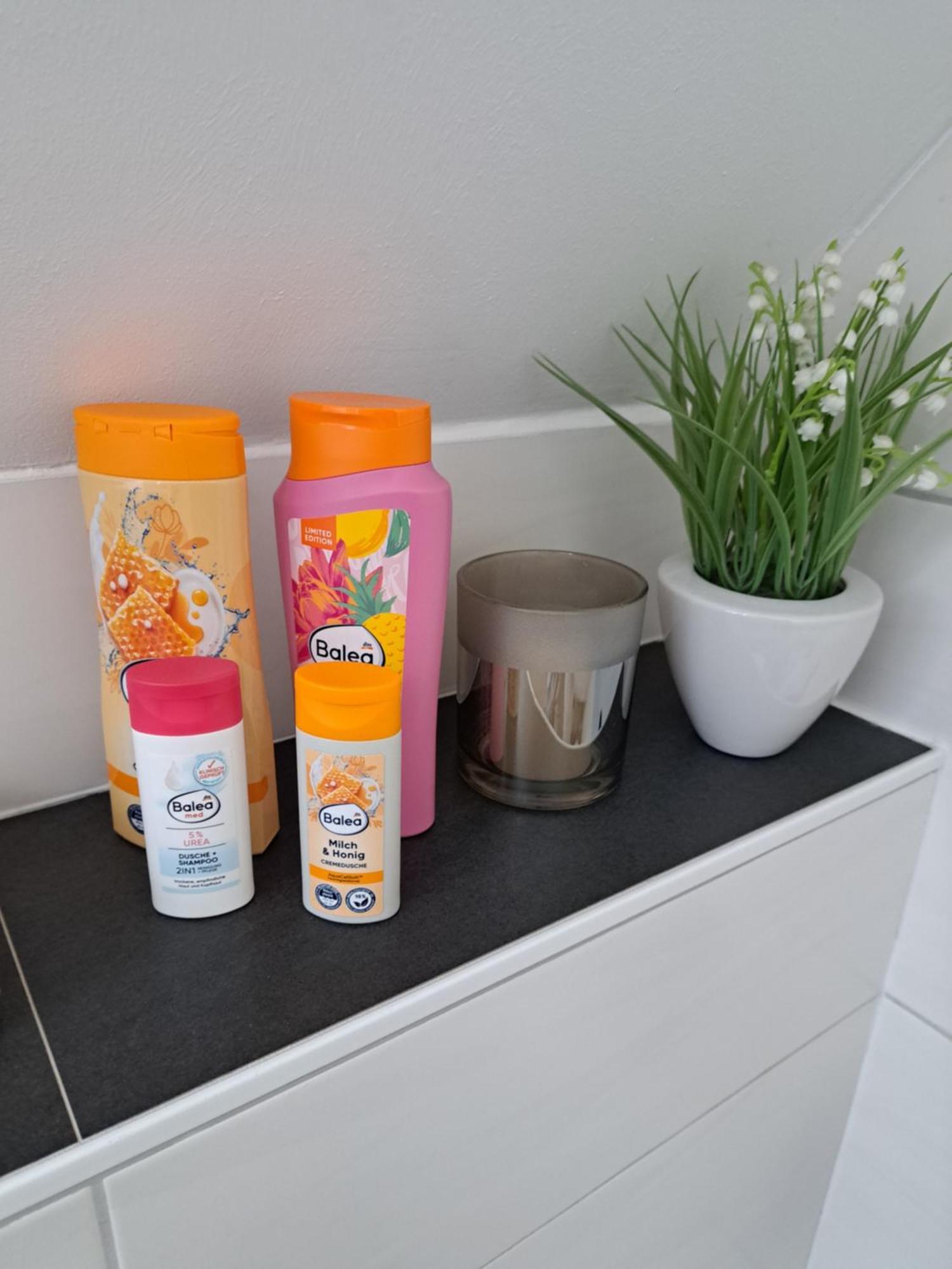 Wunderschoenes 2 Zimmer Apartment Inkl. Parkplatz Asbach  Εξωτερικό φωτογραφία